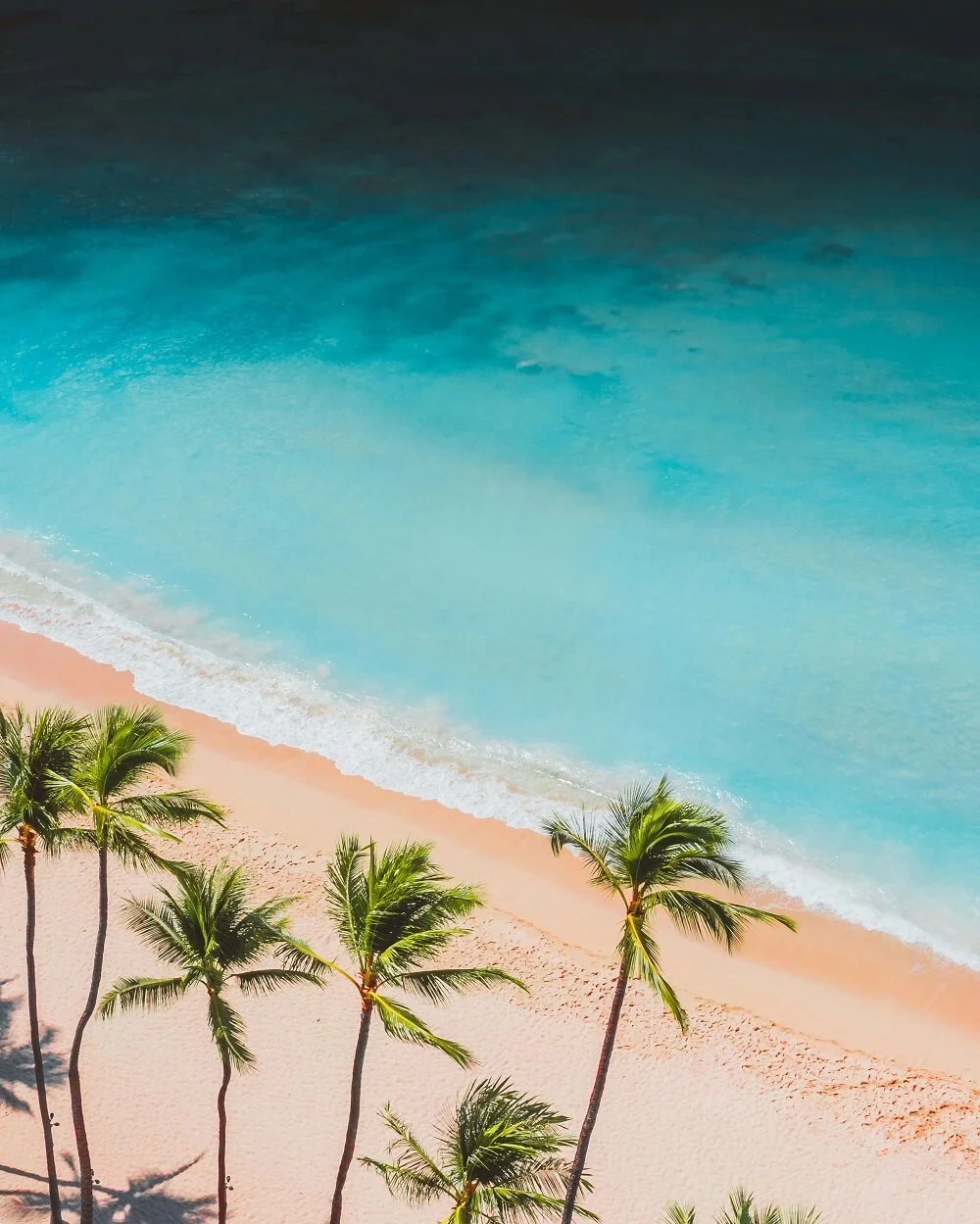 玩转MiPlus主题：从零搭建一个会赚钱的网站