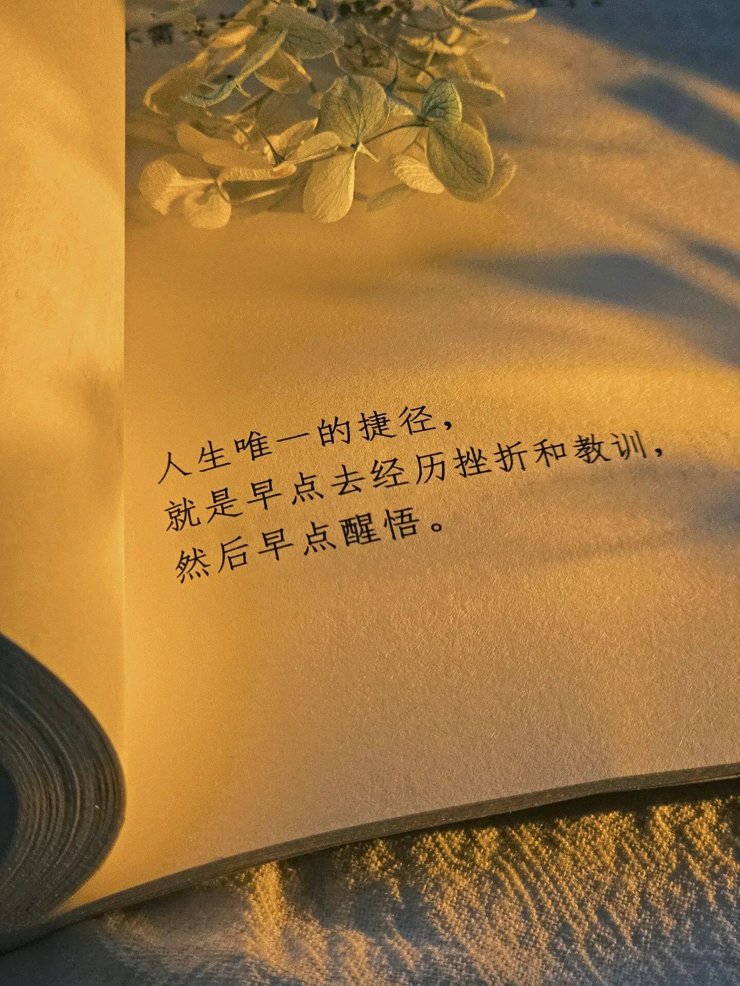 如何创建自定义文章类型案例