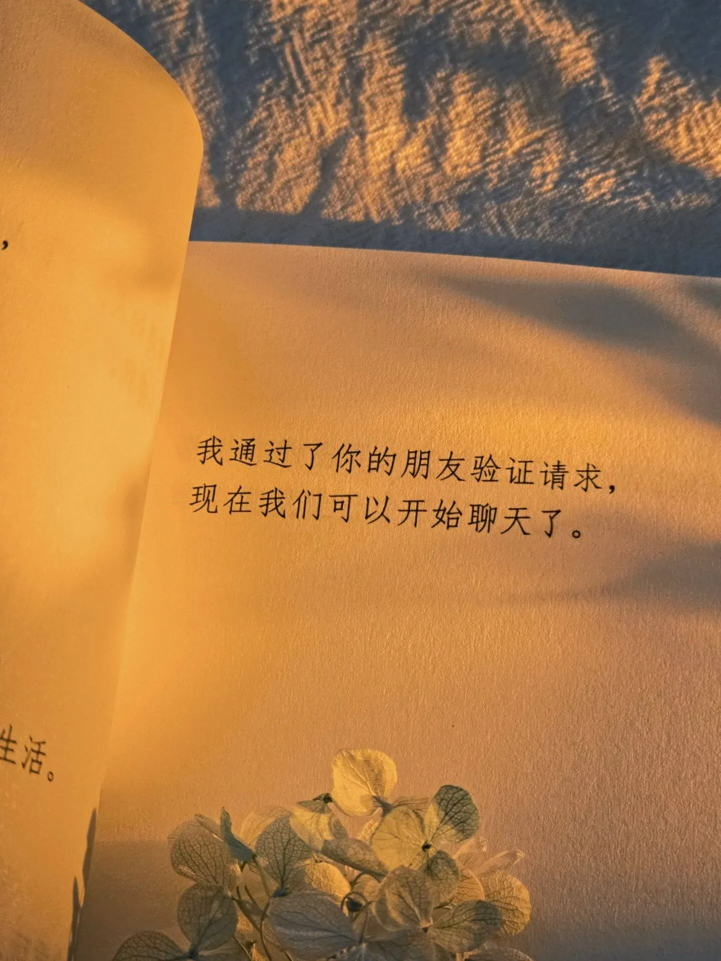 每本旧课本里都夹着少年心事