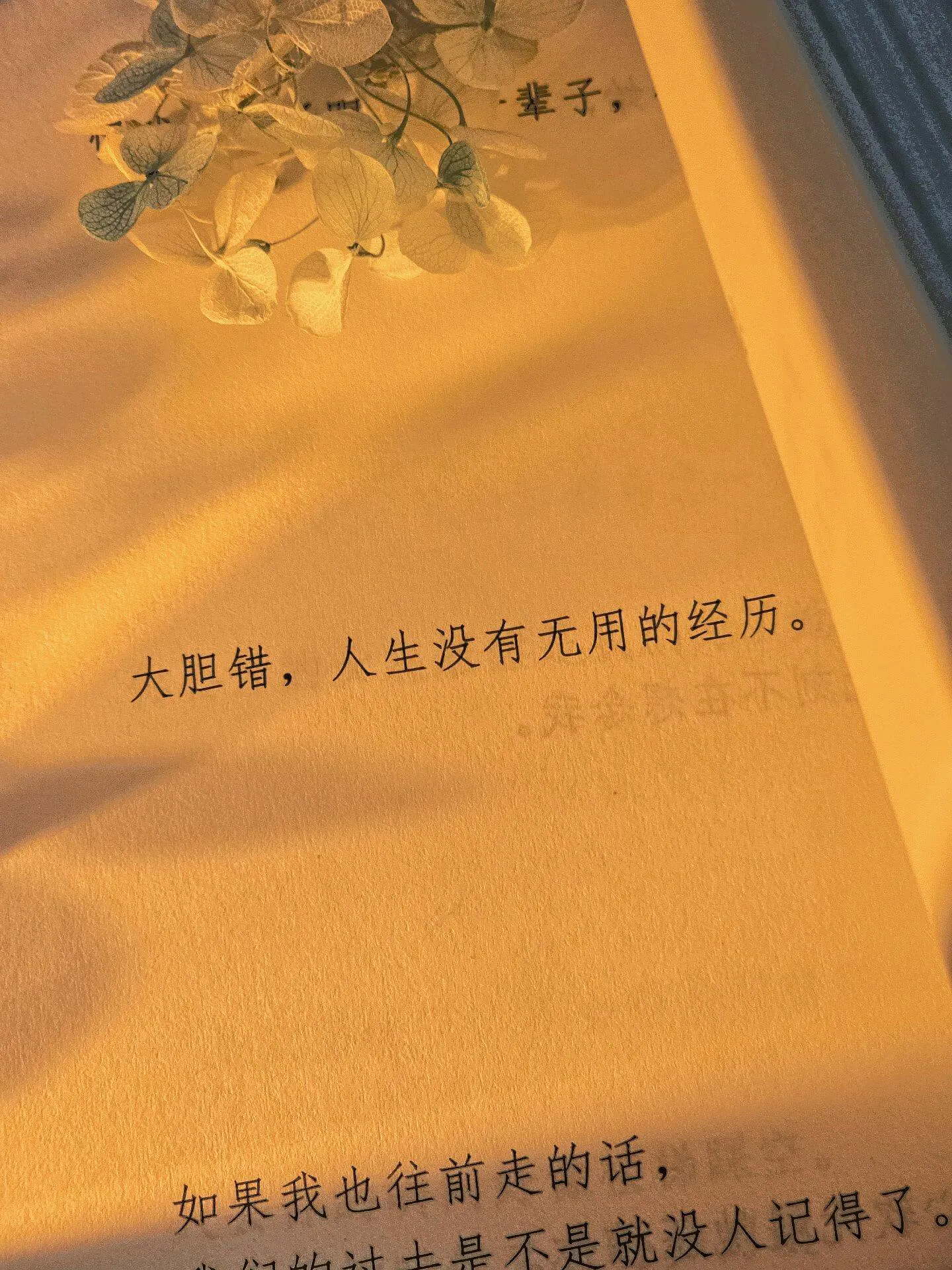 首页配置