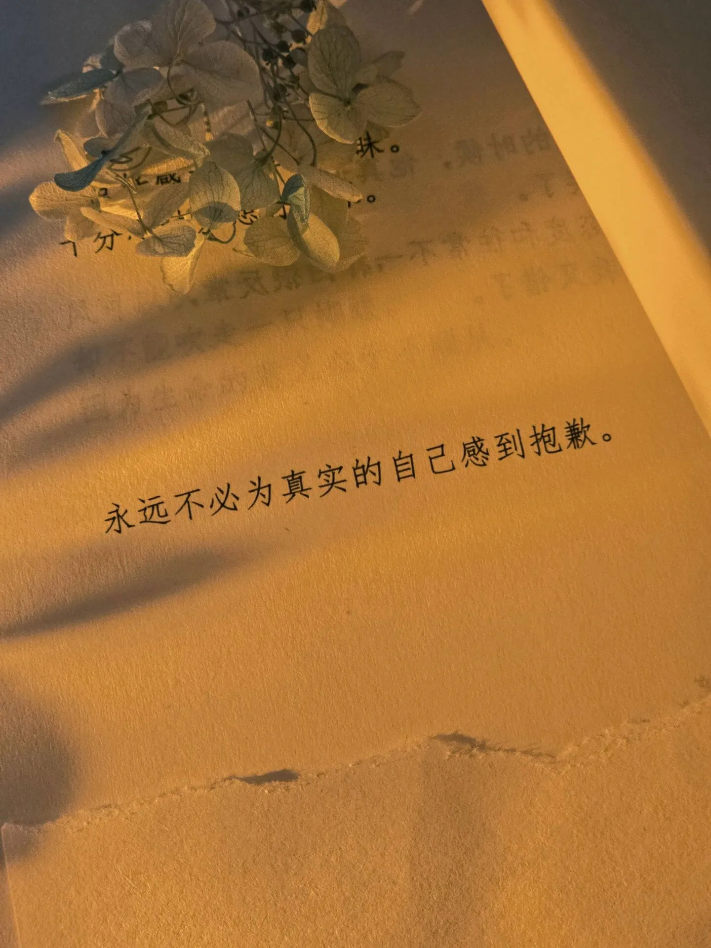 雨打芭蕉声就是最好的语文课