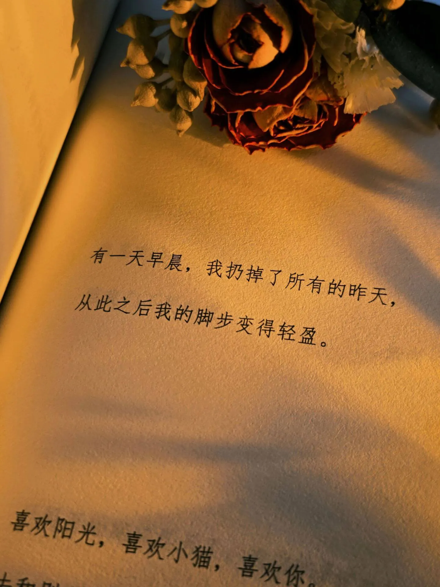 粉笔灰落在她的睫毛上像雪