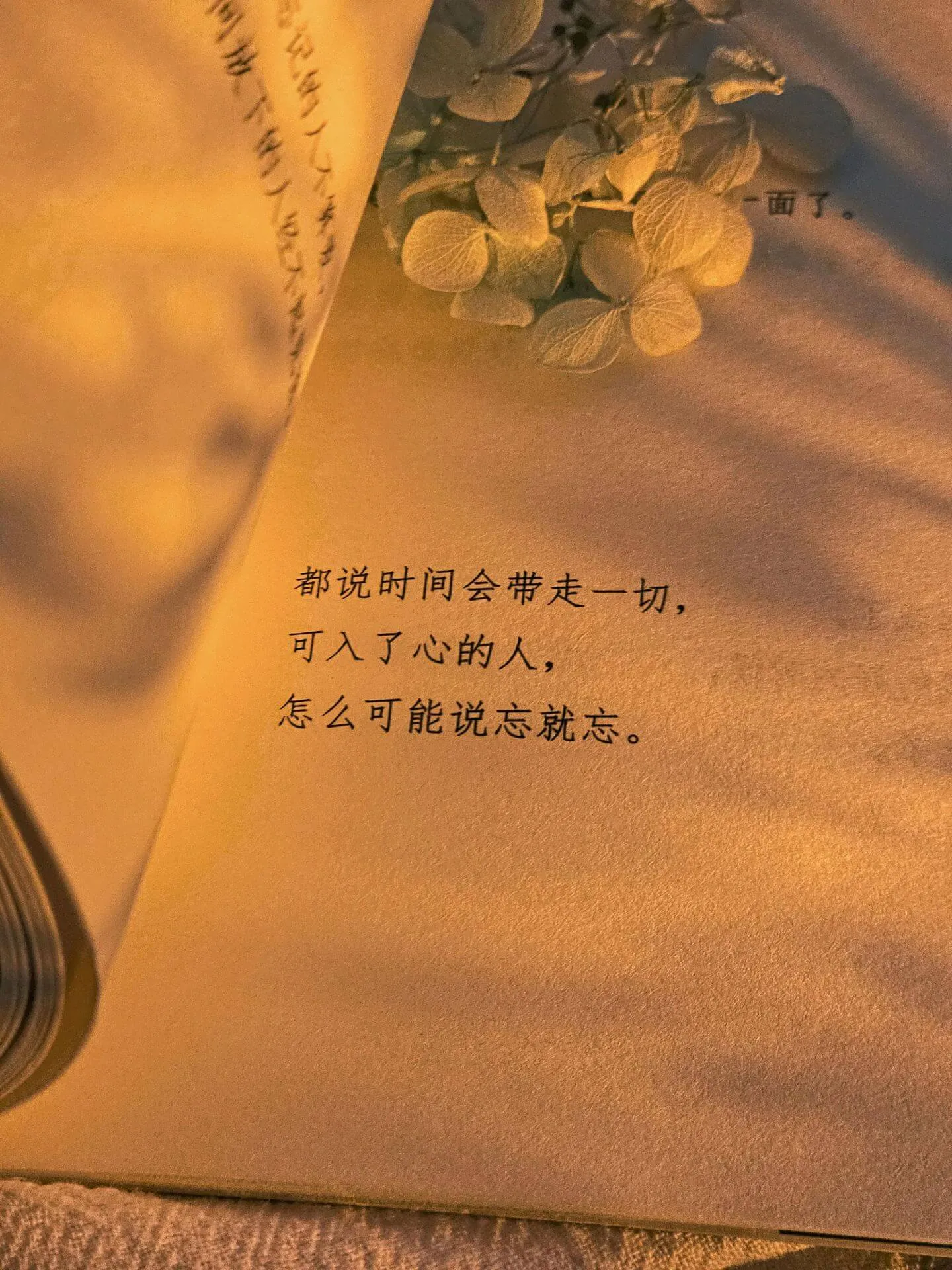 如何利用子主题修改父主题