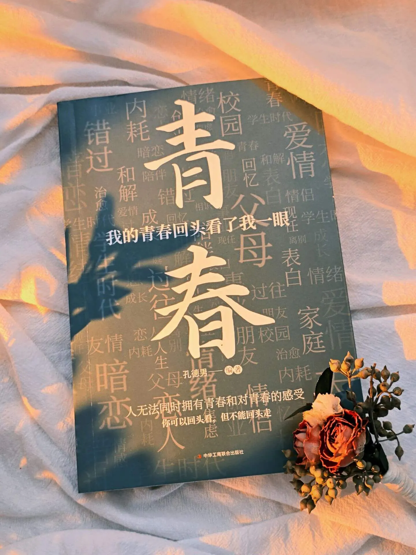 我的青春回头看了我一眼